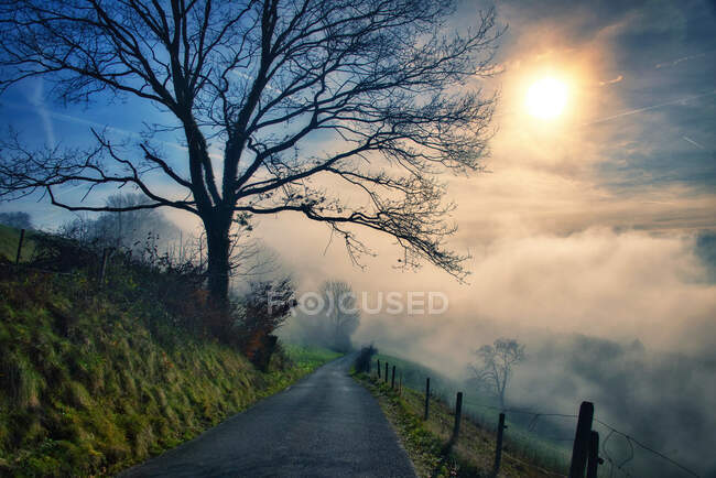 Estrada através de uma paisagem rural na névoa, Aargau, Suíça — Fotografia de Stock