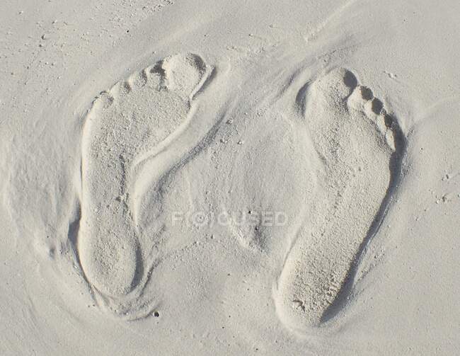 Следы на песке на пляже, Мальдивы — стоковое фото