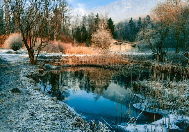 Bäuerliche Winterlandschaft, Mollis, Glarus, Schweiz — Stockfoto
