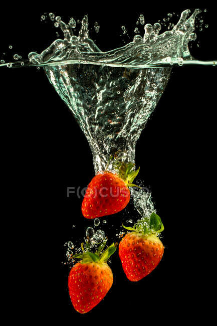 Trois fraises éclaboussant dans l'eau, Indonésie — Photo de stock