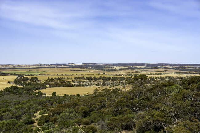 Сільський ландшафт, Середній Захід, Західна Австралія, Австралія — стокове фото