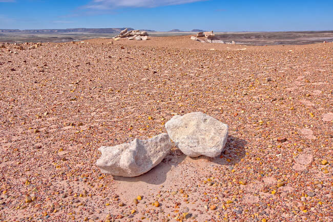 Rocks in the desert, Petrified Forest National Park, Arizona, États-Unis — Photo de stock