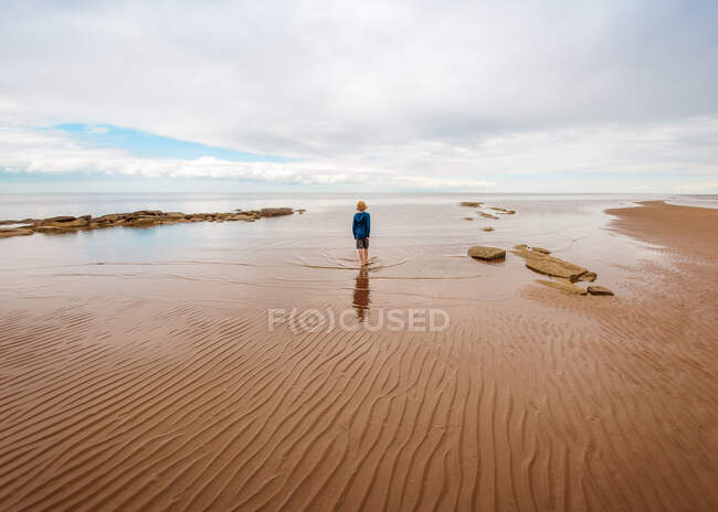 Niño caminando por la playa, Bedford, Halifax, Nueva Escocia, Canadá - foto de stock