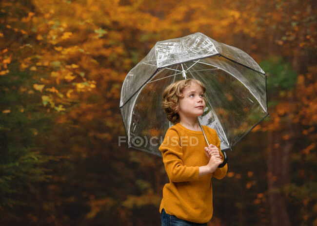 Retrato de un niño parado en el bosque sosteniendo un paraguas, Bedford, Halifax, Nueva Escocia, Canadá - foto de stock