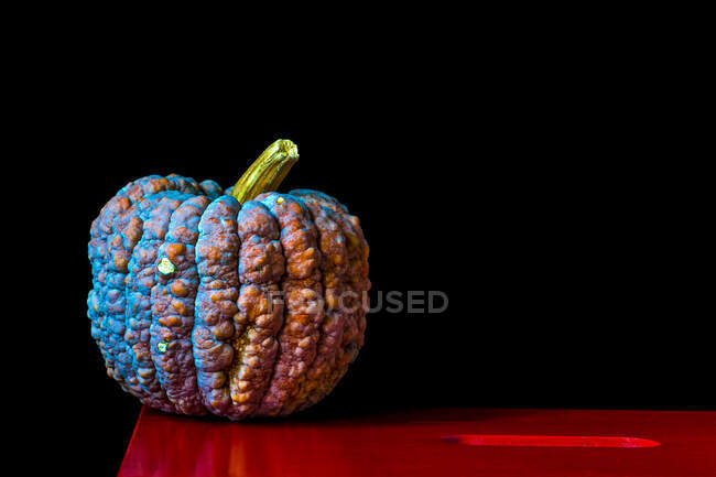 Mouldy pumpkin on a red table — Stock Photo