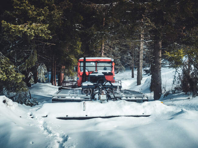 Snowplough na floresta no inverno, Bulgária — Fotografia de Stock
