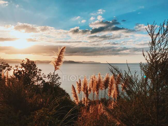 Вид на прибрежный пейзаж, Полуостров Коромандель, Северный остров, Новая Зеландия — стоковое фото