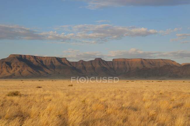 Paysage désertique, Désert namibien, Namibie — Photo de stock