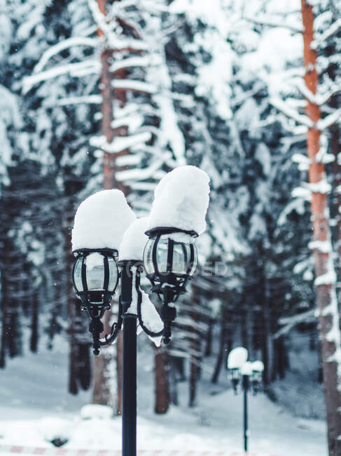 Close-up de neve em lâmpadas de rua, Bulgária — Fotografia de Stock