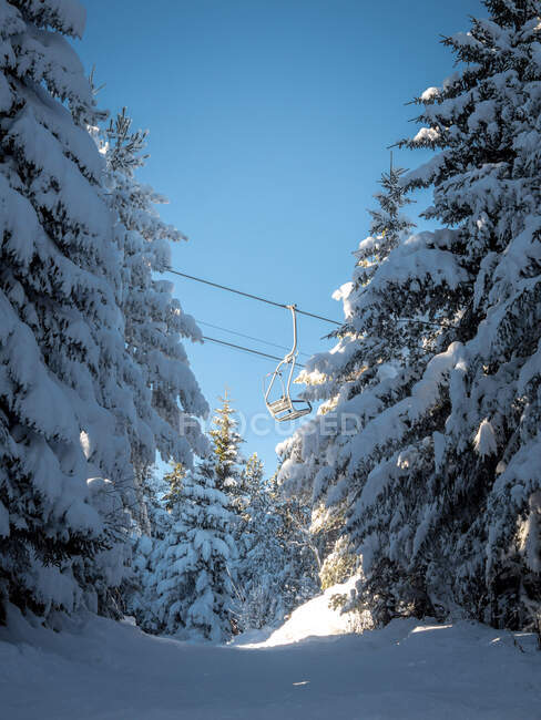 Overhead cable car above a forest, Bulgaria — Stock Photo