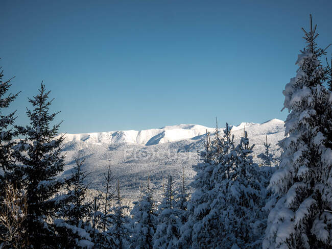 Paysage montagneux enneigé, Bulgarie — Photo de stock