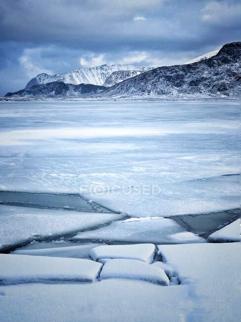 Fiordo de hielo en invierno, Bastad, Lofoten, Nordland, Noruega - foto de stock