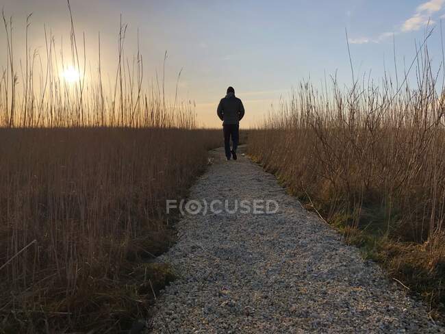 Silueta de un hombre caminando por un sendero que conduce a la playa al atardecer, Fanoe Bad, Fanoe, Jutlandia, Dinamarca - foto de stock