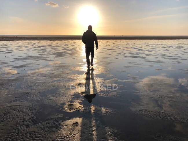 Silueta de un hombre caminando en la playa al atardecer, Fanoe Bad, Fanoe, Jutlandia, Dinamarca - foto de stock