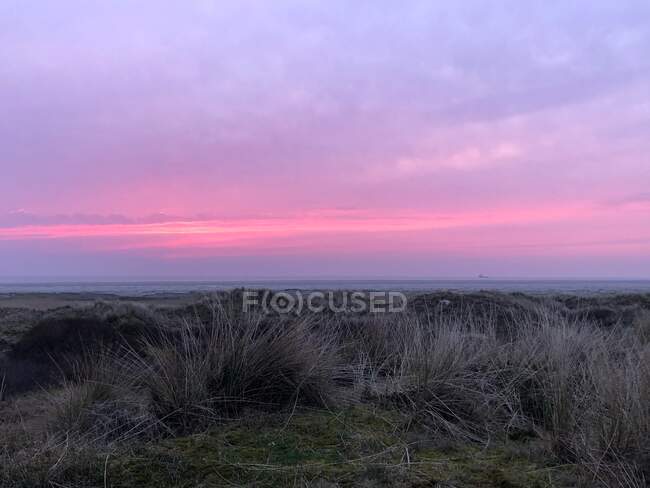 Захід сонця над піщаними дюнами, Фаной, Ютландія, Данія. — стокове фото