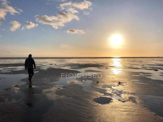 Silhouette d'un homme marchant sur la plage au coucher du soleil, Fanoe, Jutland, Danemark — Photo de stock