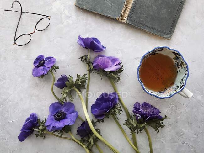 Flores de anémona, taza de té, gafas y un libro - foto de stock