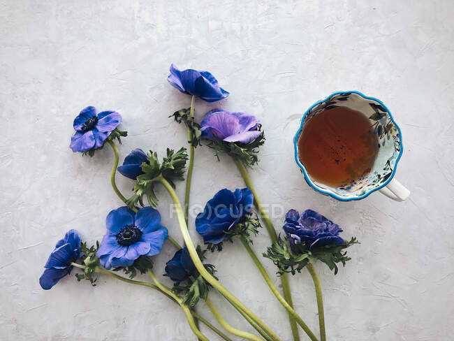 Flores de anémona y taza de té - foto de stock