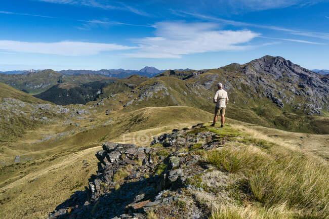 Мандрівник, який оглядає національний парк Кахурангі з пагорба Сентінел біля гори Овен, Південний острів, Нова Зеландія. — стокове фото