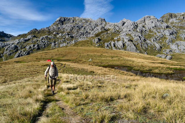 Escursionista vicino al Monte Owen, Kahurangi National Park, South Island, Nuova Zelanda — Foto stock