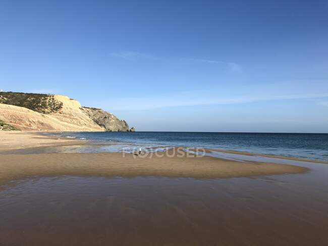 Gaivota na praia, Praia de Luz, Algarve, Portugal — Fotografia de Stock