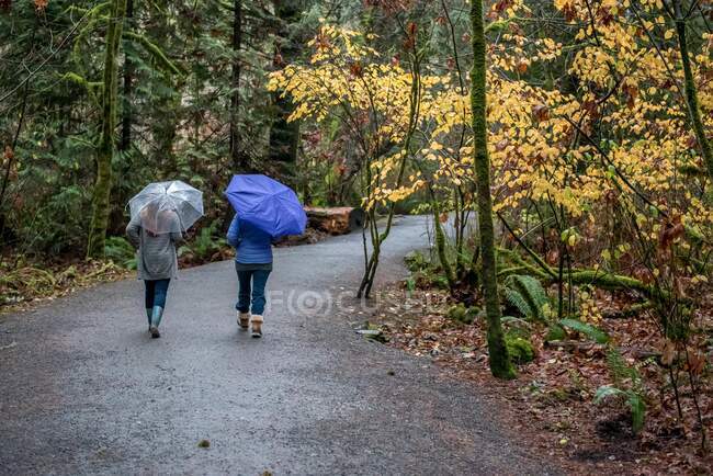 Madre e hija caminando por Mission Creek Park, Kelowna, Columbia Británica, Canadá - foto de stock