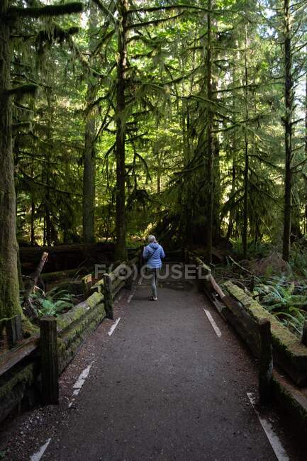 Woman walking in the woods, Cathedral Grove, British Columbia, Canadá — Fotografia de Stock