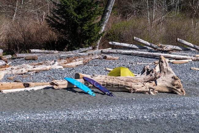 Zwei Surfbretter und ein Zelt auf einem Strandcampingplatz, British Columbia, Kanada — Stockfoto