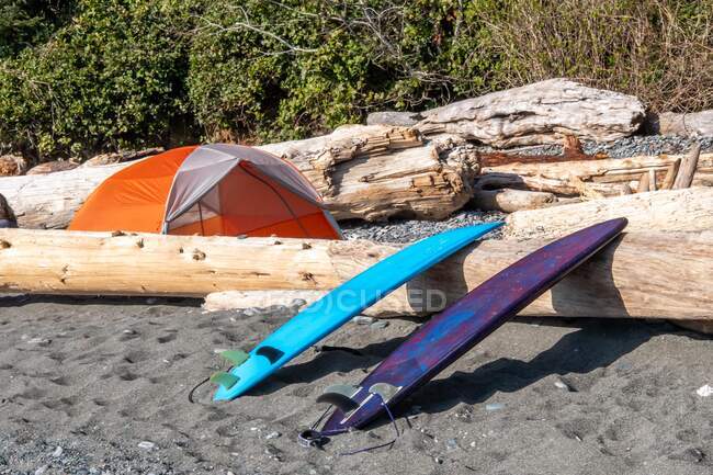 Zwei Surfbretter und ein Zelt auf einem Strandcampingplatz, British Columbia, Kanada — Stockfoto