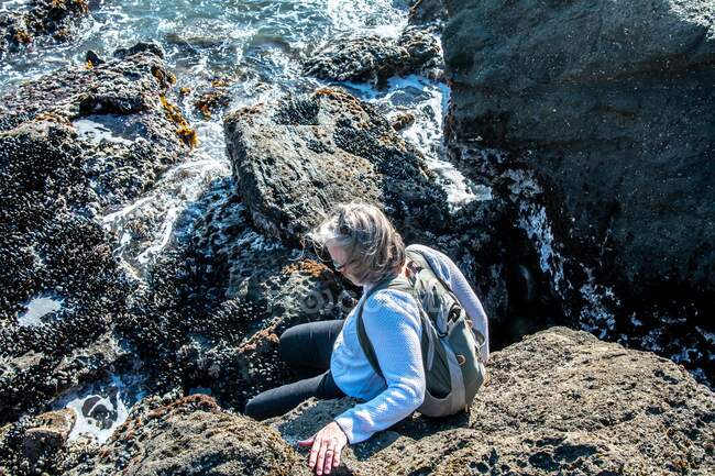 Donna che arrampica sulle rocce costiere, Columbia Britannica, Canada — Foto stock