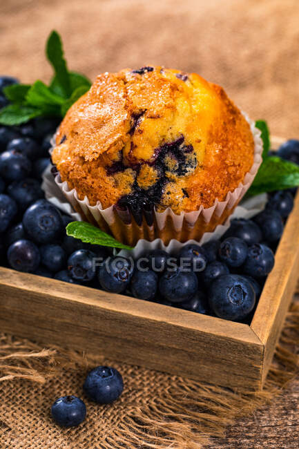 Homemade blueberry muffins with blueberries and mint on wooden background — Stock Photo