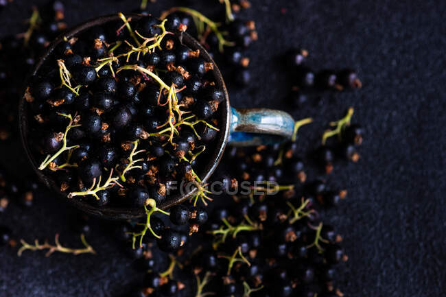 Nahaufnahme einer Tasse frischer schwarzer Johannisbeeren — Stockfoto