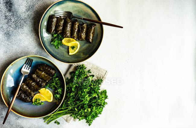 Grilled fish with lemon and spices on a plate — Stock Photo