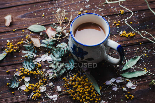 Xícara de chá ao lado de pétalas de flores e folhas — Fotografia de Stock