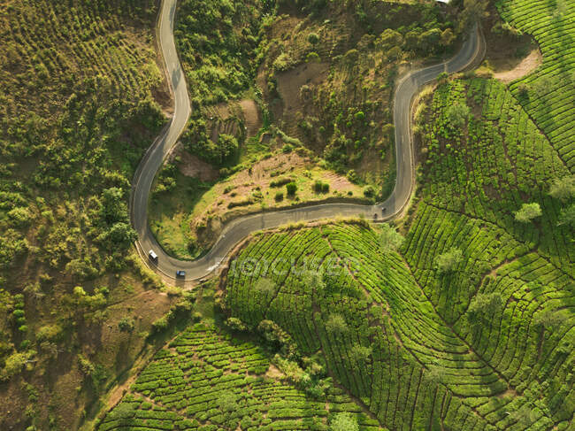 Vista aérea de uma estrada através de uma plantação de chá, Bandung, Província de Java Ocidental, Indonésia — Fotografia de Stock