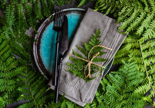 Summer place setting surrounded by fern leaves — Stock Photo