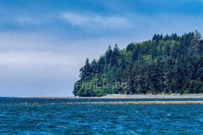 Floresta costeira, Ilha de Vancouver, Canadá — Fotografia de Stock