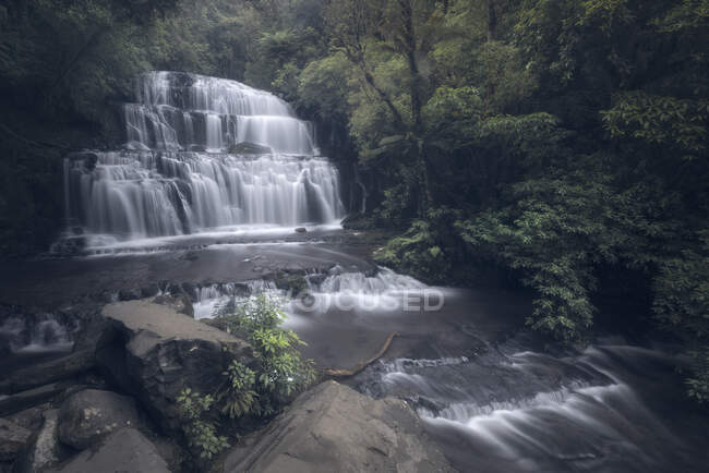 Cachoeira em uma floresta, South Island, Nova Zelândia — Fotografia de Stock