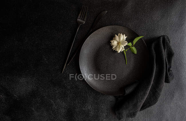 White rose on a black place setting — Stock Photo