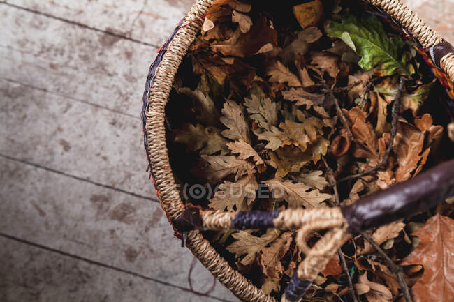 Vista aérea de una cesta llena de hojas de roble y bellotas - foto de stock