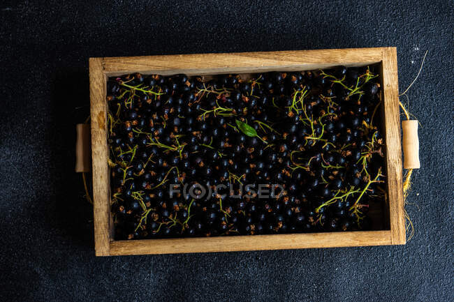 Wooden box of Fresh blackcurrants — Stock Photo