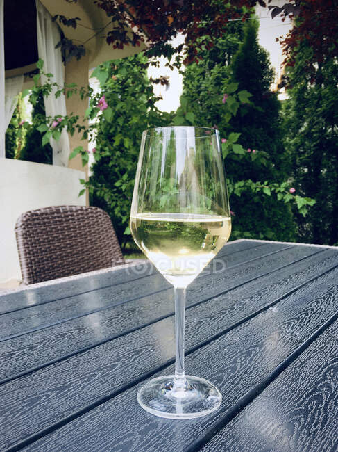 Bicchiere con vino bianco e fiori rossi e una bottiglia di champagne sullo sfondo del lago — Foto stock