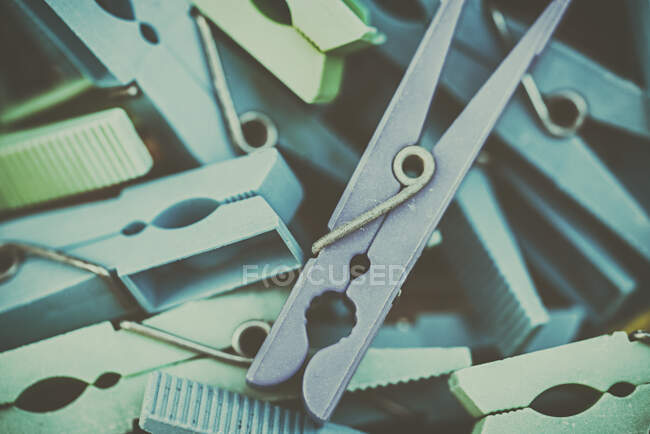Close-up of multi coloured clothes pegs — Stock Photo