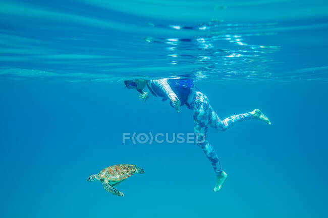 Ragazza adolescente che nuota nell'oceano con una tartaruga, Malesia — Foto stock