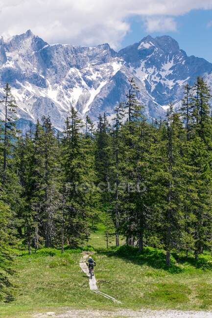Vista posteriore dell'uomo in mountain bike lungo un sentiero alpino, Radstadt, Austria — Foto stock