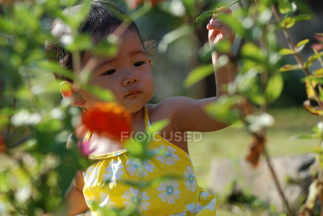Portrait of a girl in a garden, Indonesia — Stock Photo