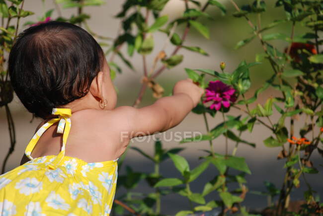 Menina sentada no jardim chegando a uma flor, Indonésia — Fotografia de Stock