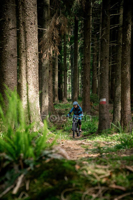 Giovane donna in mountain bike lungo un sentiero nel bosco, Salisburgo, Austria — Foto stock