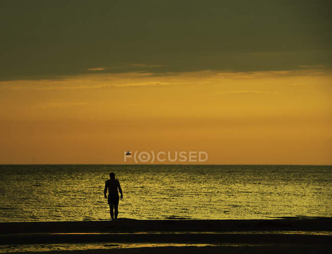 Silhouette eines Mannes, der bei Sonnenuntergang im Meer schwimmt, Lettland — Stockfoto