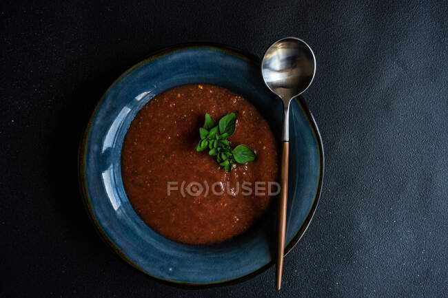 Cream of tomato soup with oregano garnish — Stock Photo